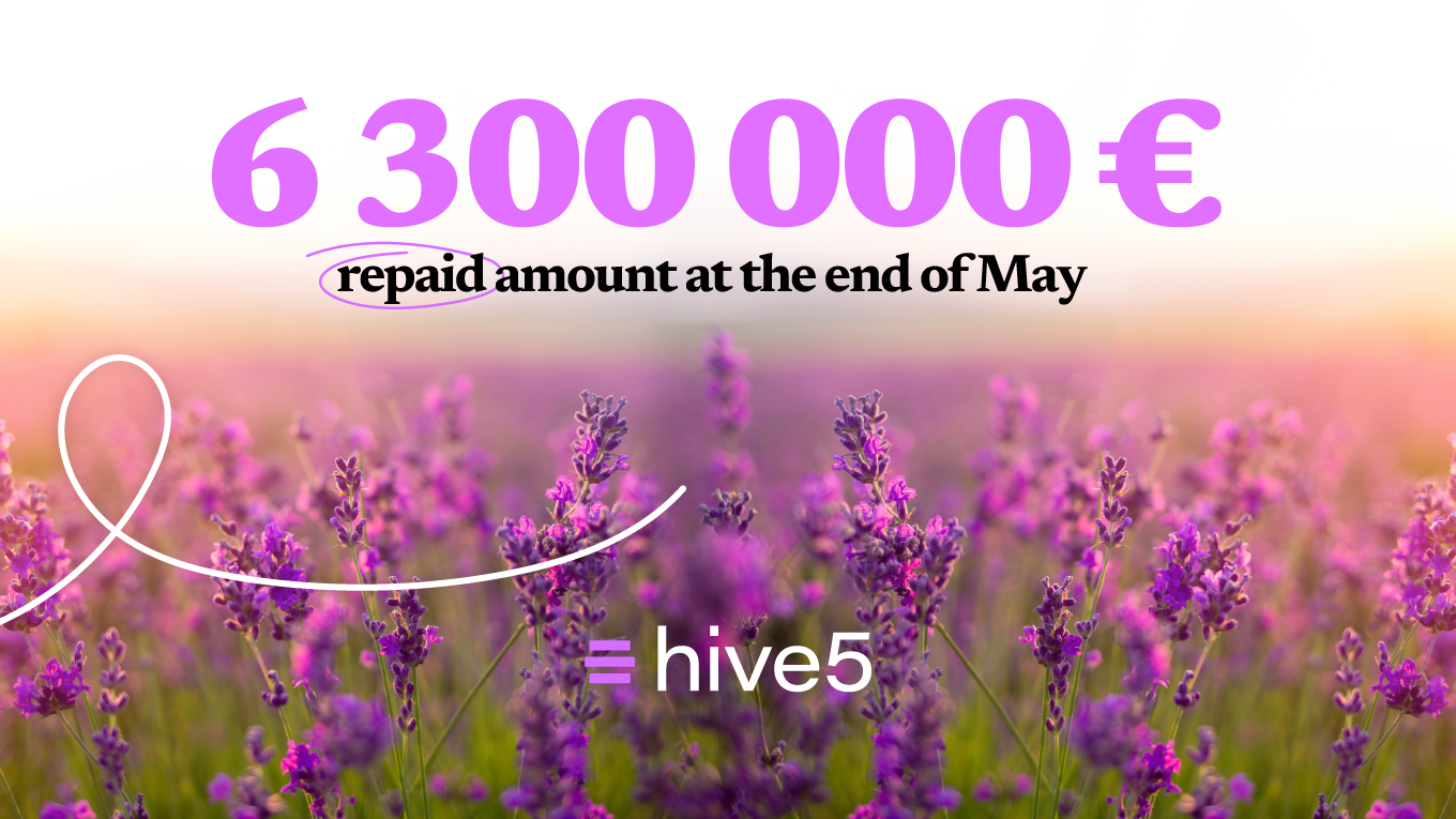 Revisión mensual de Hive5: Monto de 6,3 millones de euros reembolsados al final de mayo.